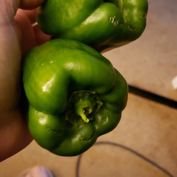 Julie R (AKA Forza) - Meet your posher - Picture 3 of 12